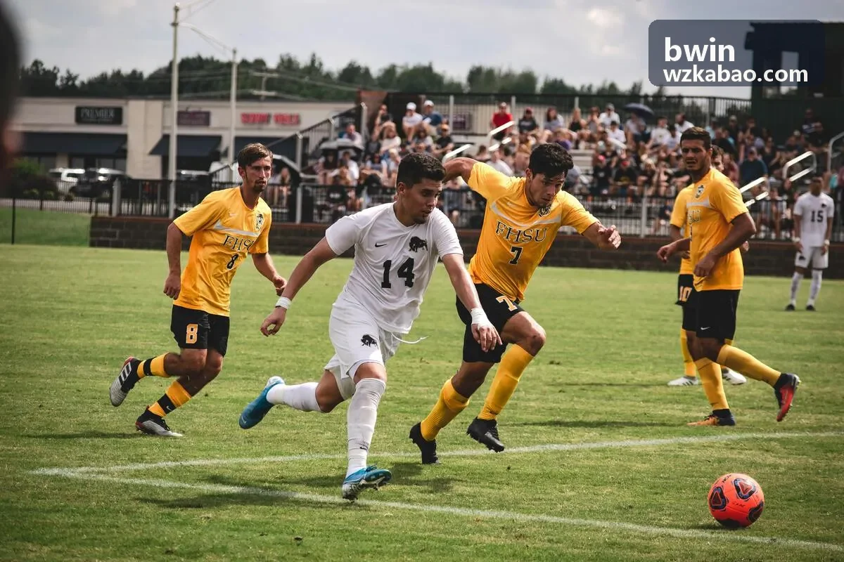 bwin 战略咨询数据可视化