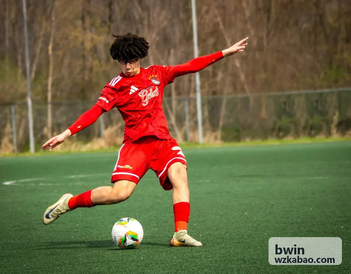 bwin 科技企业出海战略案例